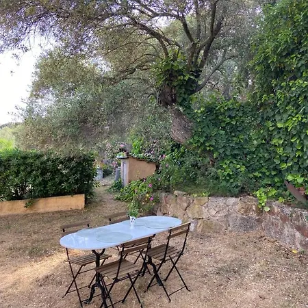 Seaview Garden דירה *