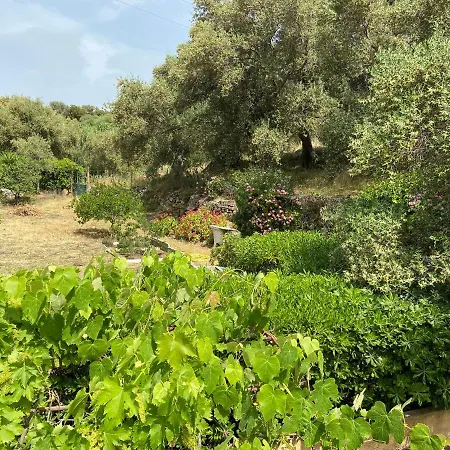 דירה Seaview Garden