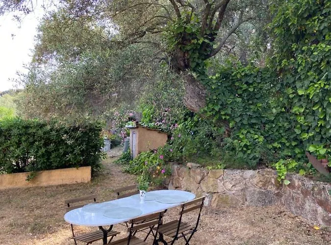 Seaview Garden Apartment *