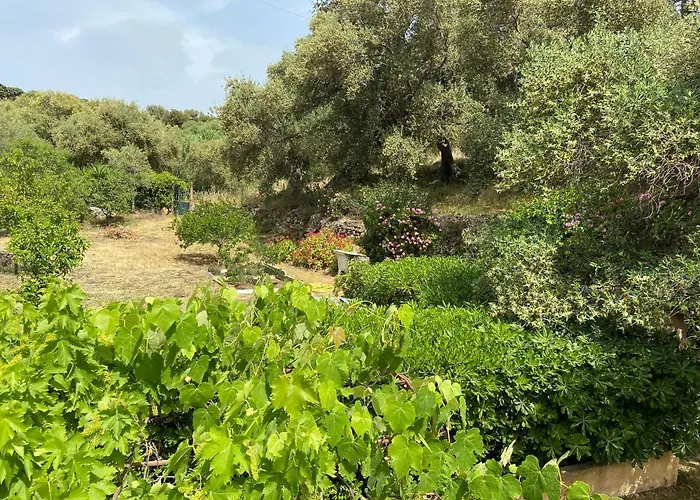 Apartment Seaview Garden